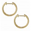 Ladies Fashion Diamond Earrings