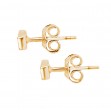 Ladies Fashion Diamond Earrings