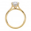 Diamond Semi-Mount Hidden Halo Engagement Ring