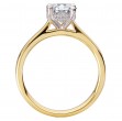 Diamond Semi-Mount Hidden Halo Engagement Ring