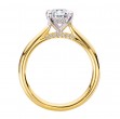 Hidden Halo Semi-Mount Diamond Engagement Ring