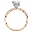 Semi-Mount Diamond Engagement Ring