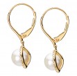 Freshwater Pearl and Diamond Earrings