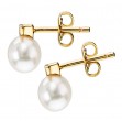 Ladies Fashion Pearl Earrings