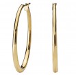 Ladies Fashion Hoop Earrings