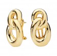 Ladies Fashion Earrings