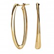 Ladies Fashion Hoop Earrings