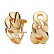 Ladies Fashion Hoop Earrings