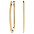 Ladies Fashion Hoop Earrings