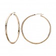 Ladies Fashion Hoop Earrings