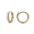 Ladies Fashion Hoop Earrings