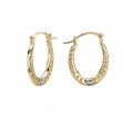 Ladies Fashion Hoop Earrings