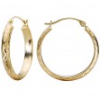 Ladies Fashion Hoop Earrings