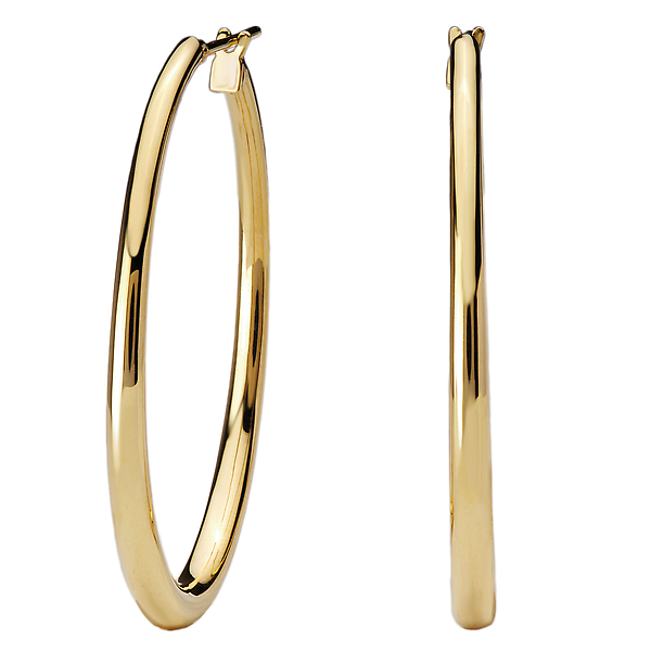 Ladies Fashion Hoop Earrings