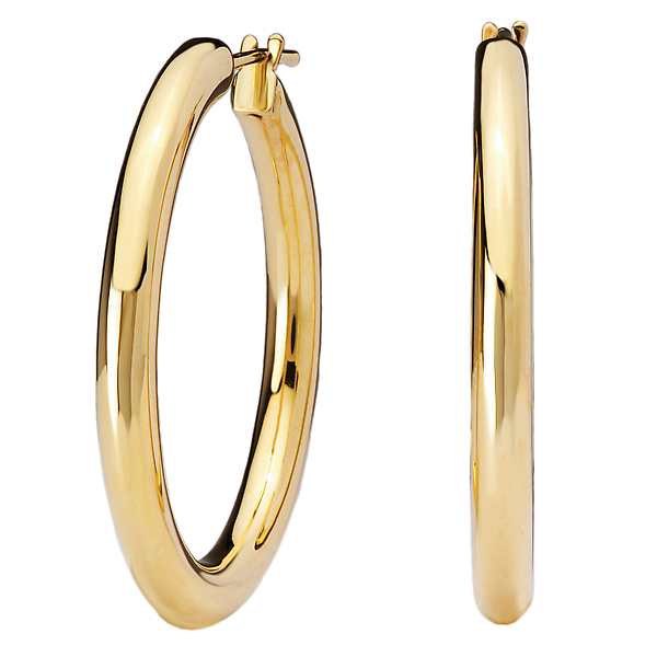 Ladies Fashion Hoop Earrings