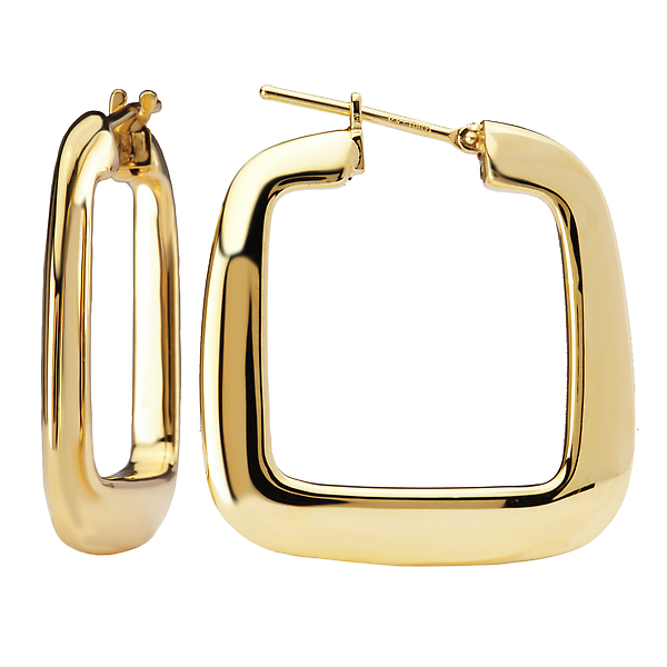 Ladies Fashion Hoop Earrings