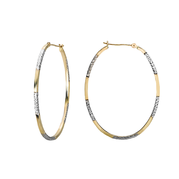 Ladies Fashion Hoop Earrings