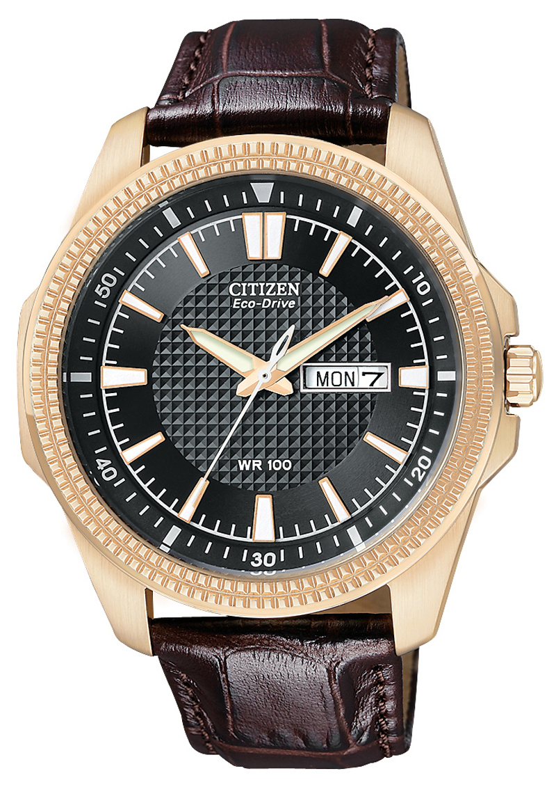 citizen eco drive price in usa